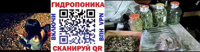 наркота  Певек  shop формула  Бошки Шишки тримм 